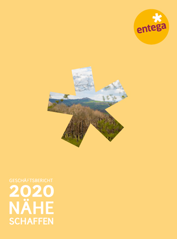 PDF Geschäftsbericht 2020 lang